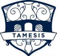 Tamesis Partnership Ltd