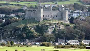 Starting a business in Harlech