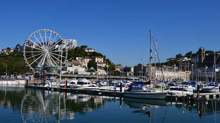 Starting a business in Torquay